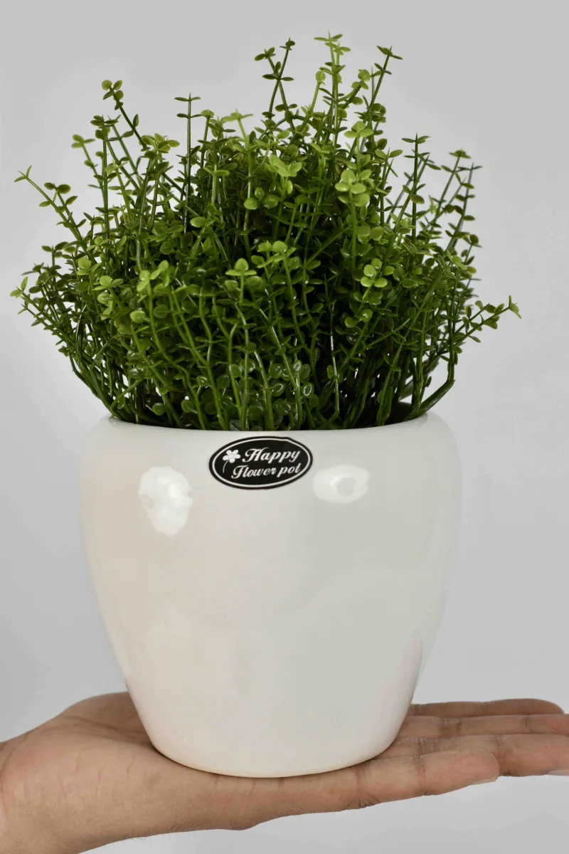 Classic Ceramic Planter — 10.5" Dia × 10.5" Height — Primary View