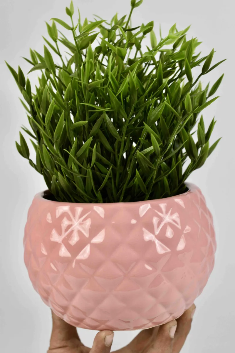 Classic Ceramic Planter — 6" Dia × 6" Height — Primary View