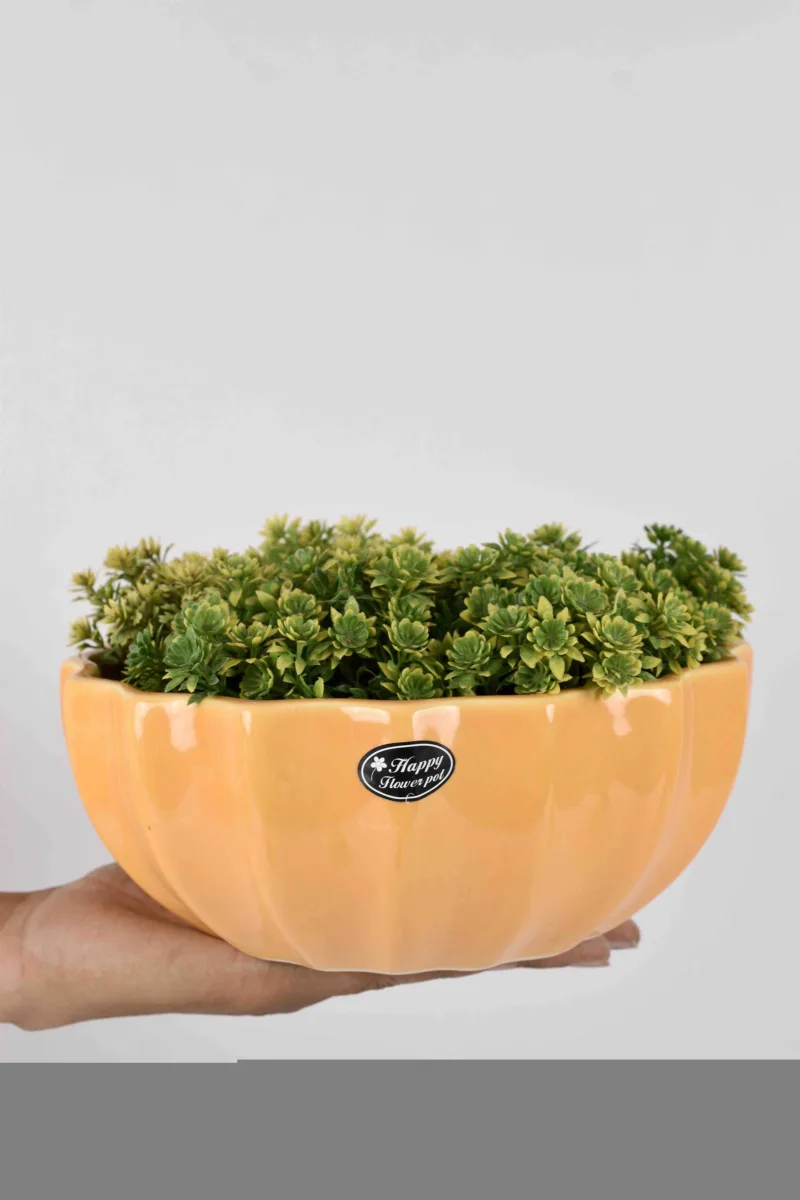 Classic Ceramic Planter — 14" Dia × 3" Height — Primary View