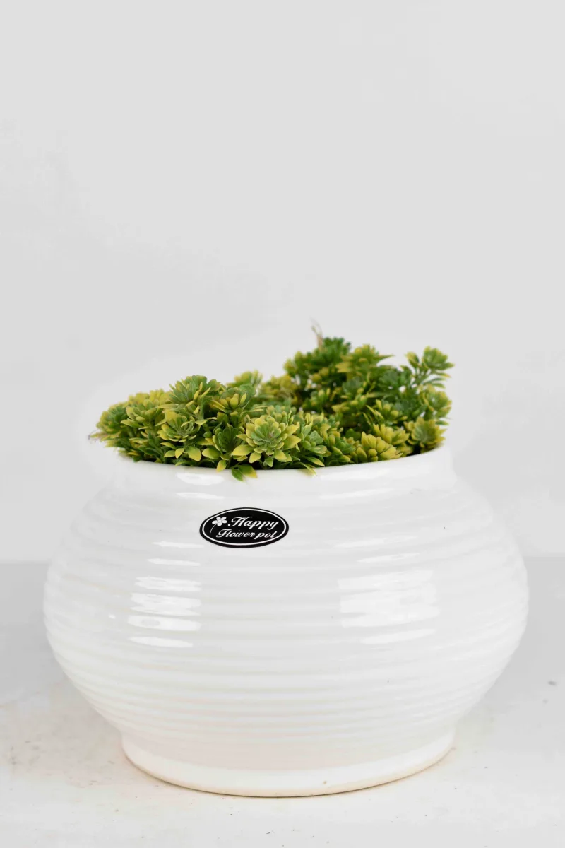 Classic Ceramic Planter — 9" Dia × 4" Height — Primary View