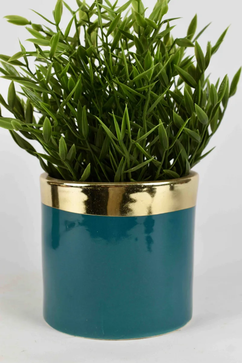 Classic Ceramic Planter — 0.5" Dia × 0.5" Height — Primary View