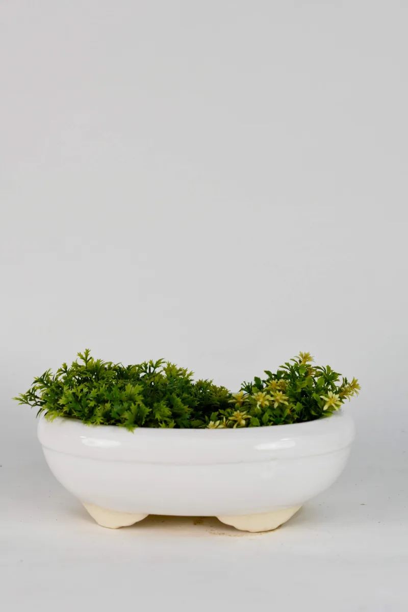 Classic Ceramic Planter — 3.5" Dia × 3.5" Height — Primary View