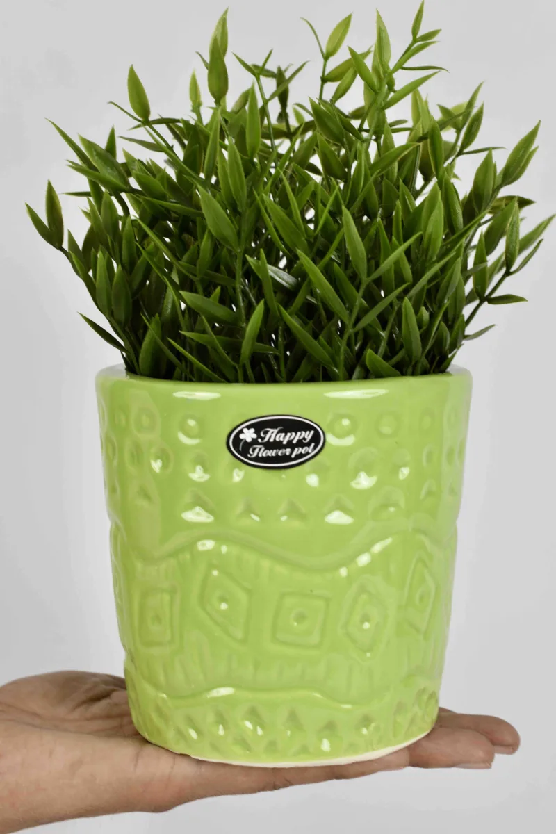 Classic Ceramic Planter — 6.5" Dia × 4.5" Height — Primary View