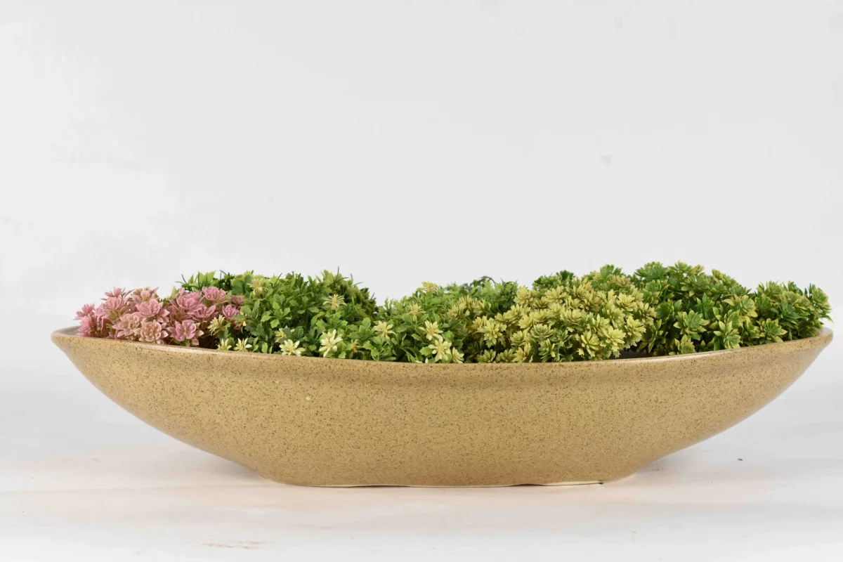 Classic Ceramic Planter — 5.5" Dia × 3" Height — Primary View