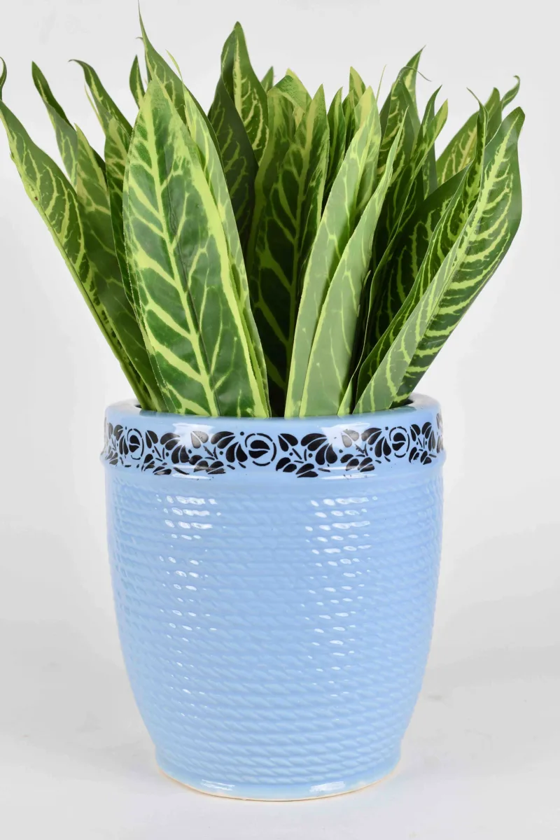 Classic Ceramic Planter Set of 3 (3" Dia) — Primary View