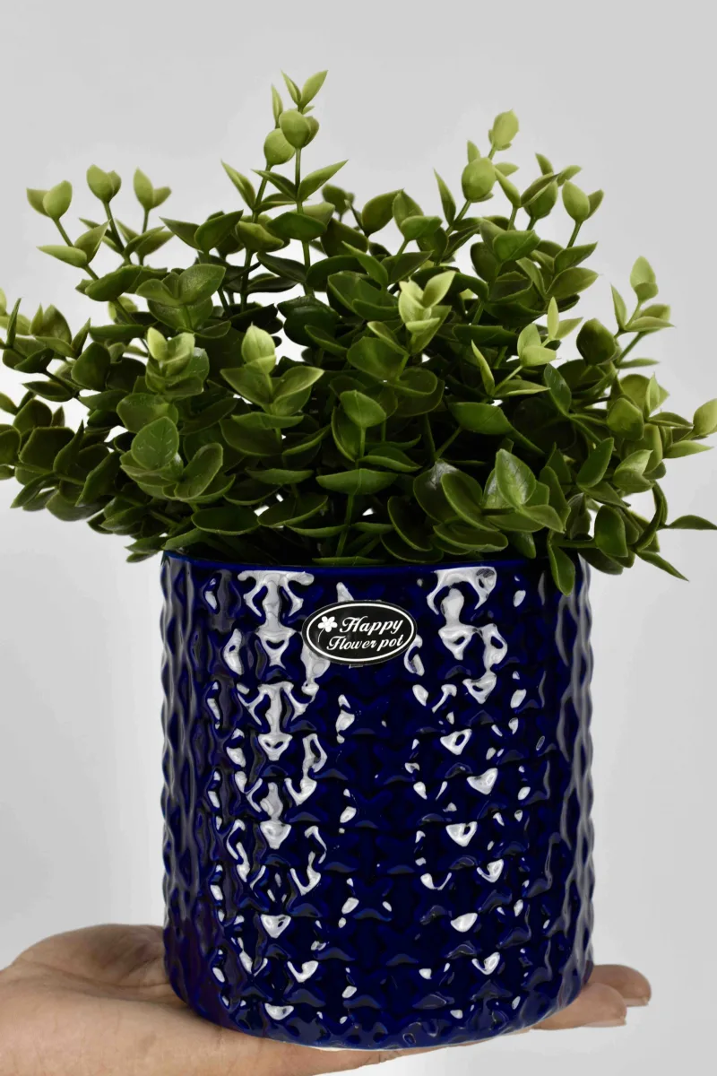 Classic Ceramic Planter — 14" Dia × 2.5" Height — Primary View