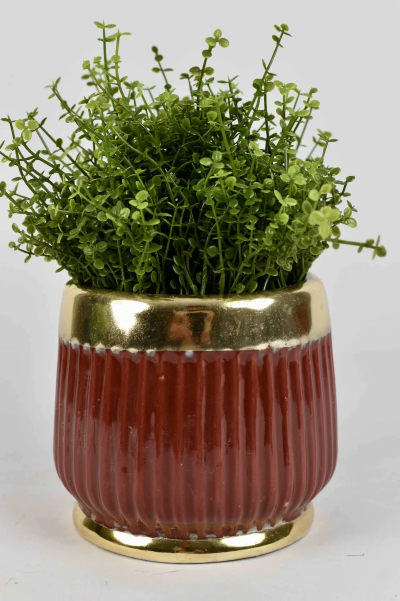 Classic Ceramic Planter — 5" Dia × 4" Height — Primary View