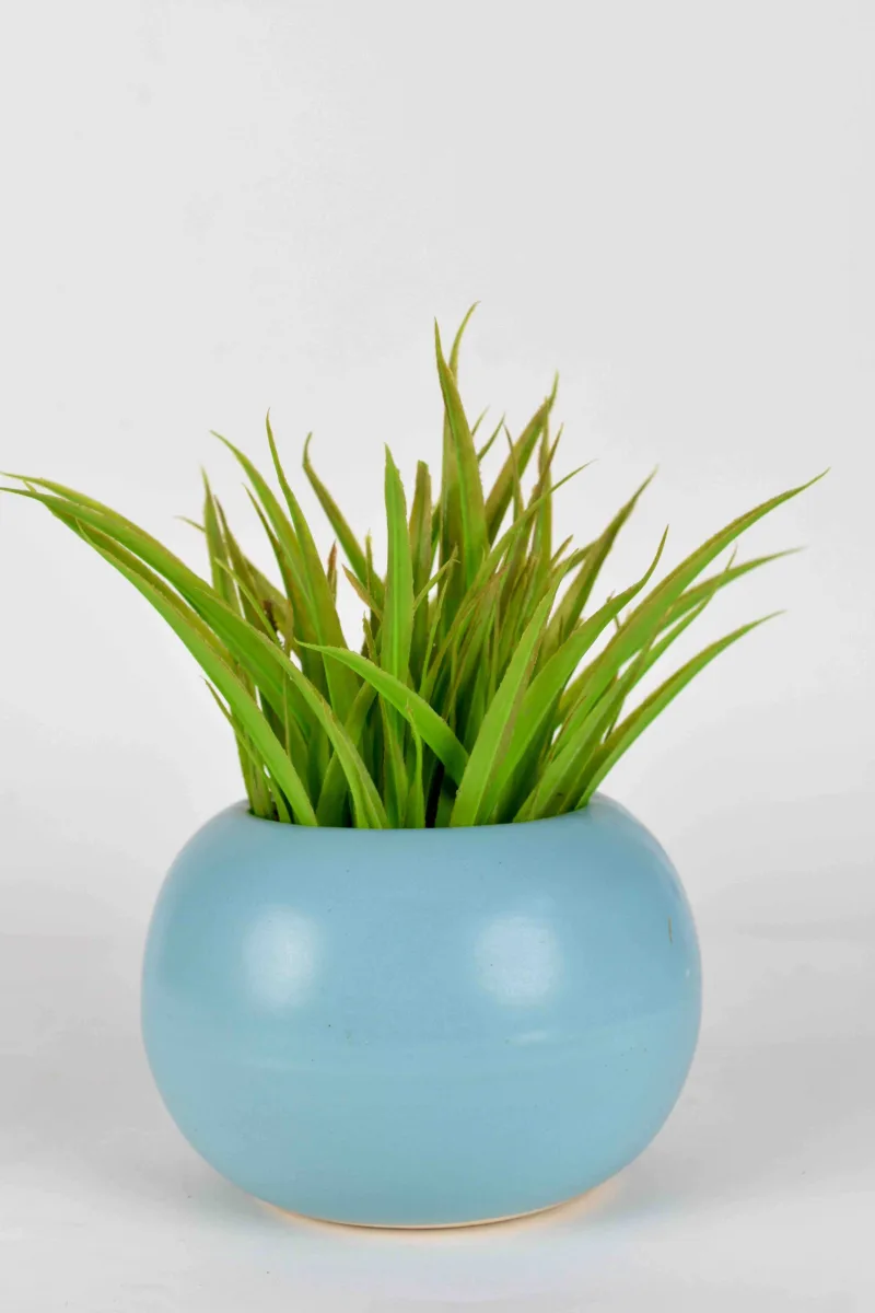 Classic Ceramic Planter — 6.5" Dia × 2" Height — Primary View