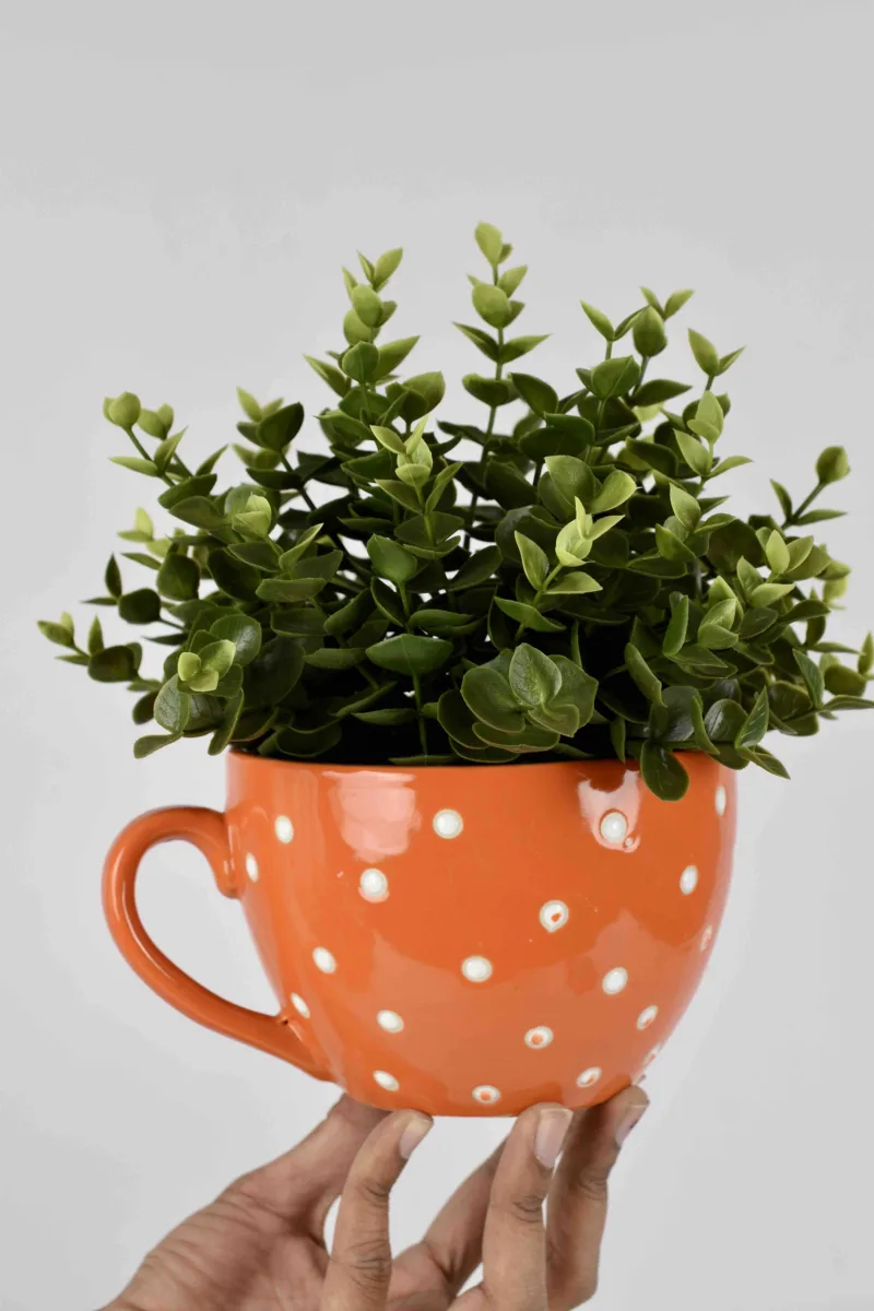 Classic Ceramic Planter — 6" Dia × 5" Height — Primary View