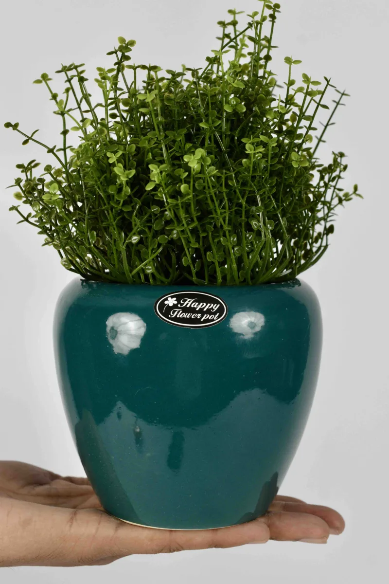 Classic Ceramic Planter — 4" Dia × 3.5" Height — Primary View