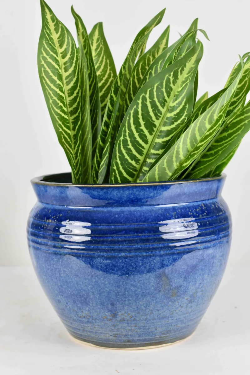 Classic Ceramic Planter — 5" Dia × 4.5" Height — Primary View