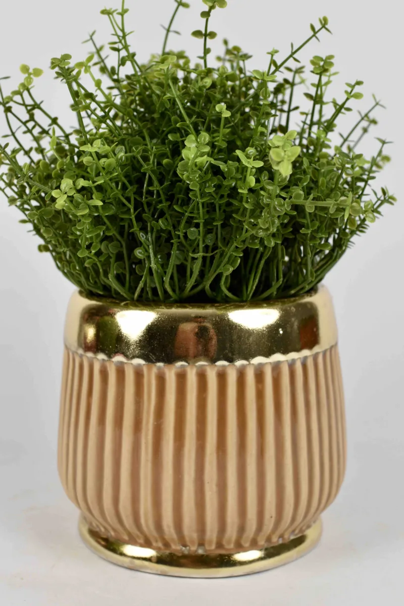 Classic Ceramic Planter — 5.5" Dia × 5" Height — Primary View