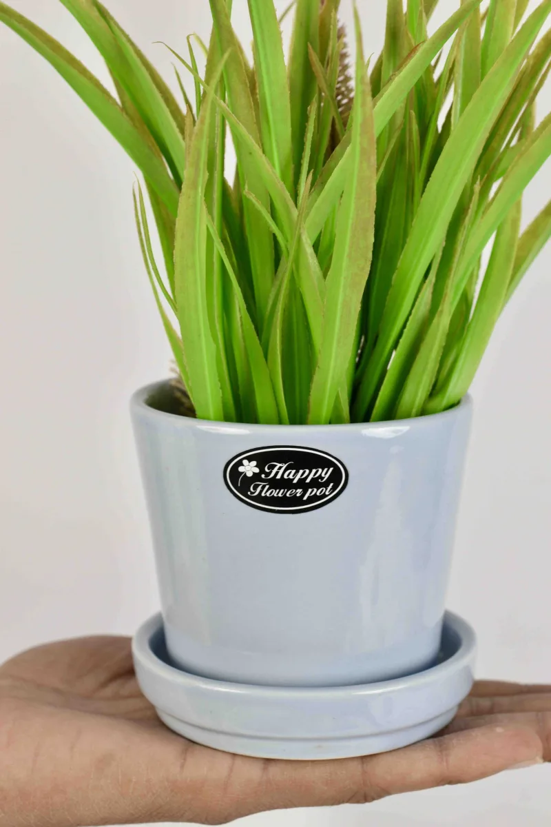 Classic Ceramic Planter Set of 2 (2" Dia) — Primary View