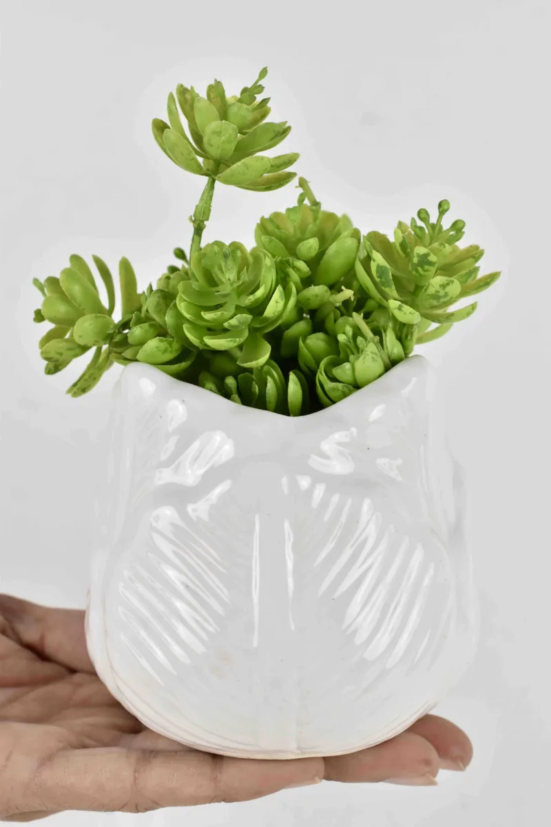 Classic Ceramic Planter — 9" Dia × 13.5" Height — Primary View