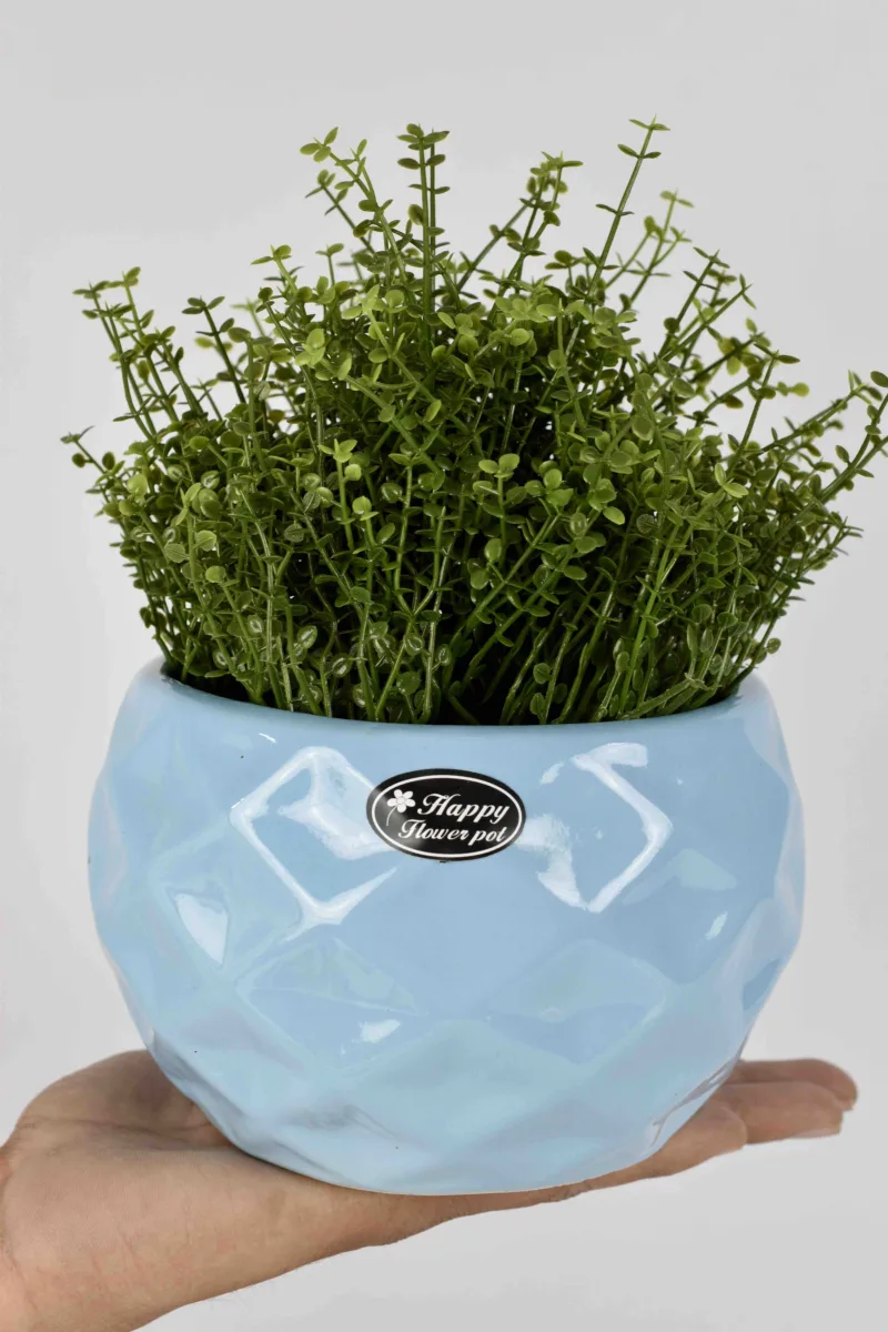 Classic Ceramic Planter — 6" Dia × 5" Height — Primary View