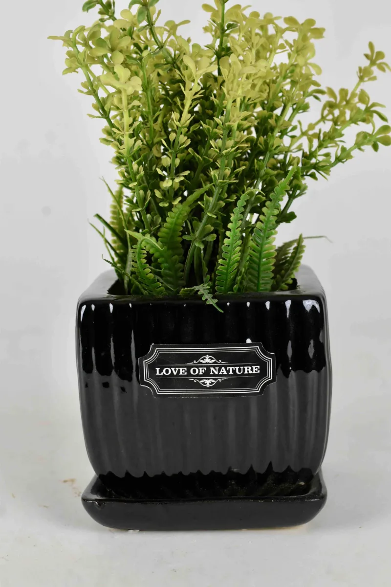 Classic Ceramic Planter — 3.5" Dia × 3.5" Height — Primary View