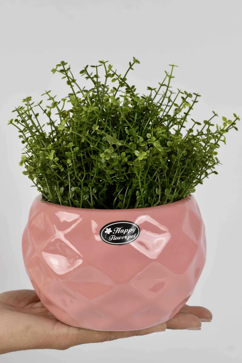 Classic Ceramic Planter — 6" Dia × 7" Height — Primary View
