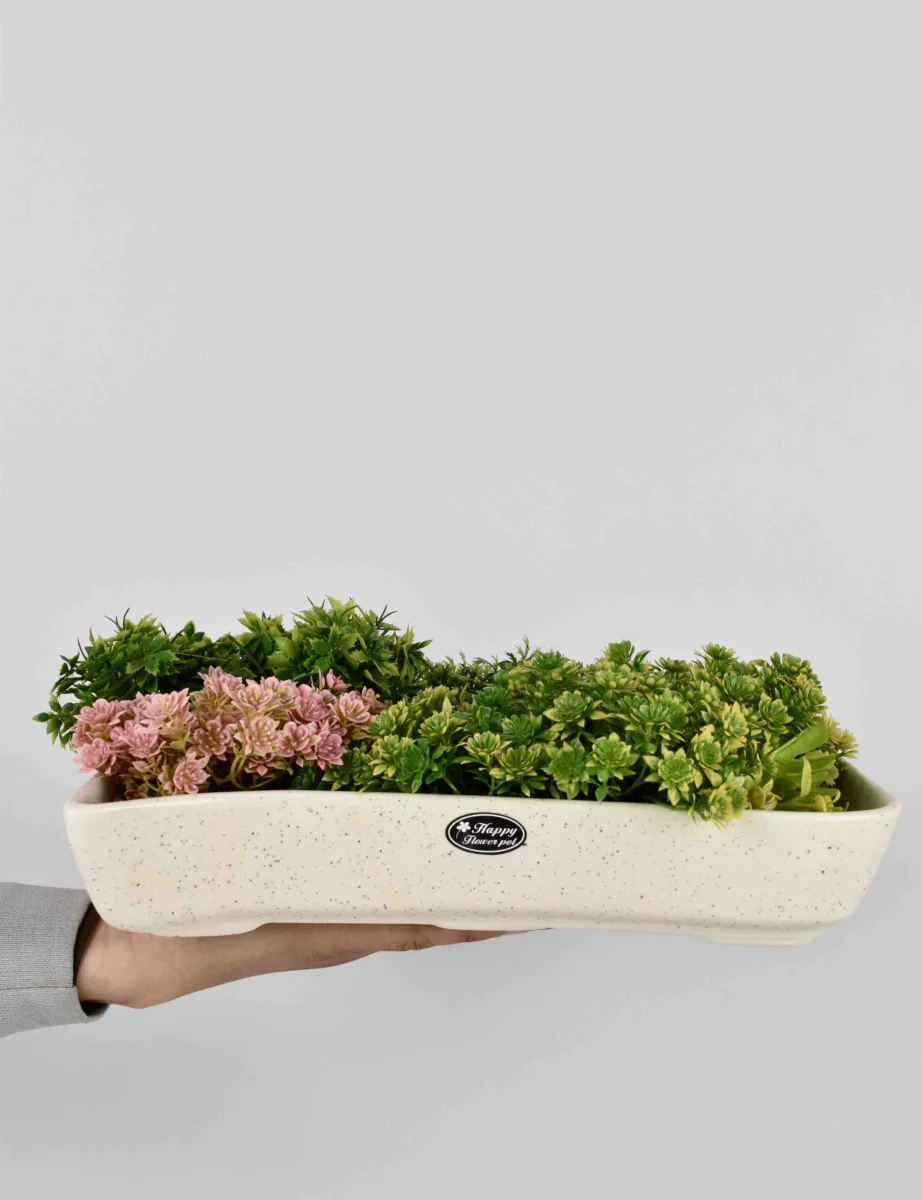 Classic Ceramic Planter — 6" Dia × 6" Height — Primary View