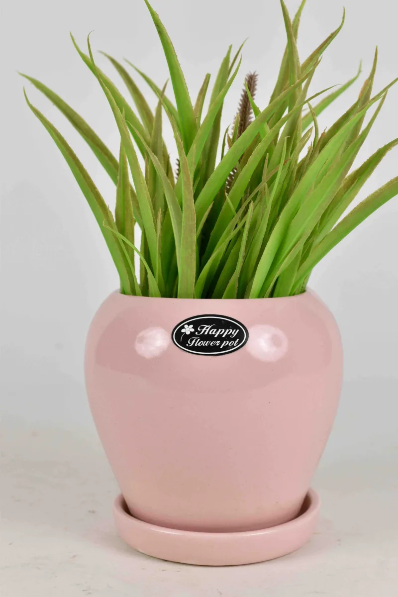 Classic Ceramic Planter Set of 2 (2" Dia) — Primary View
