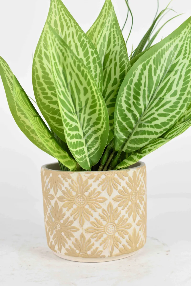 Classic Ceramic Planter — 6" Dia × 5" Height — Primary View