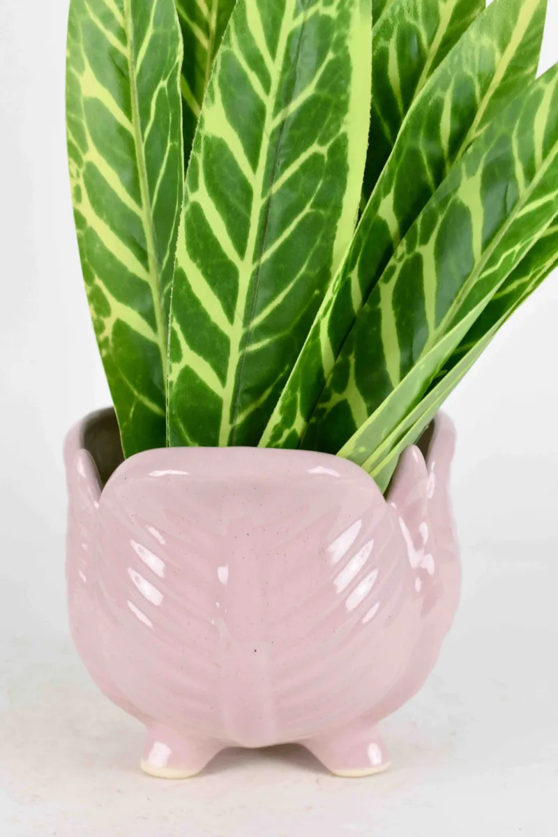 Classic Ceramic Planter — 5.5" Dia × 4" Height — Primary View