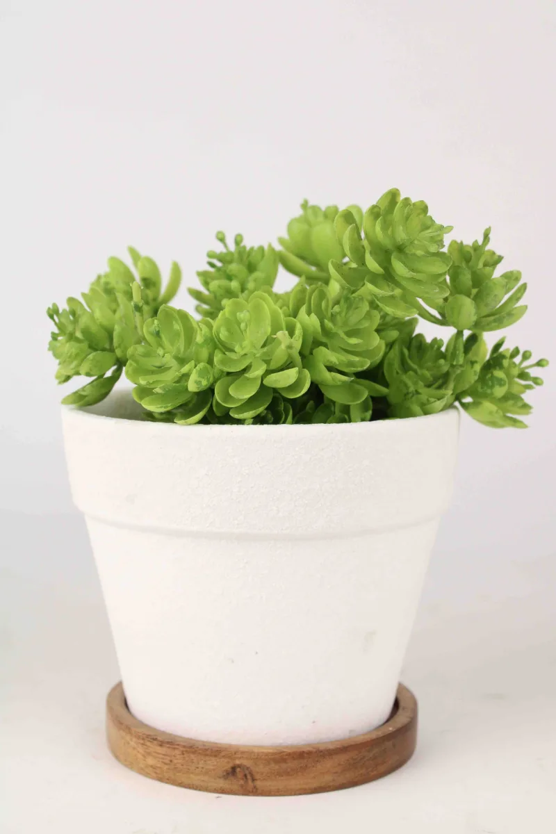 Classic Ceramic Planter — 9.5" Dia × 4" Height — Primary View