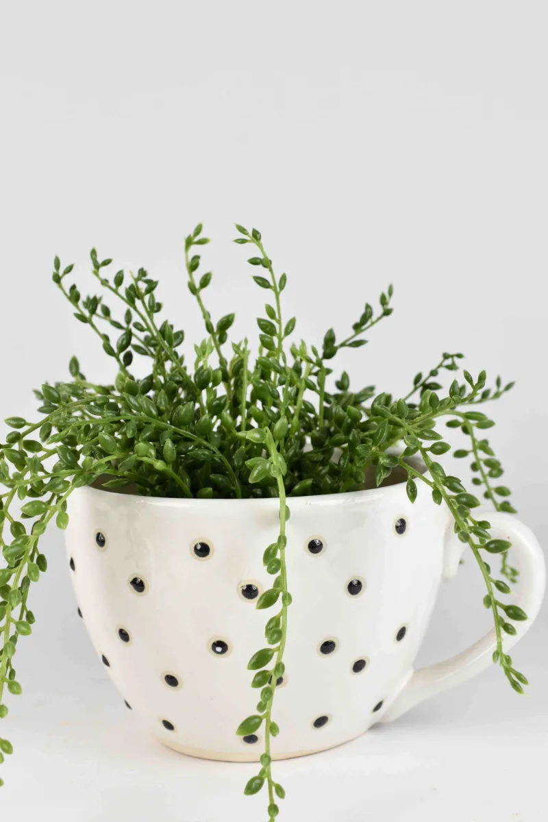 Classic Ceramic Planter — 7" Dia × 5" Height — Primary View