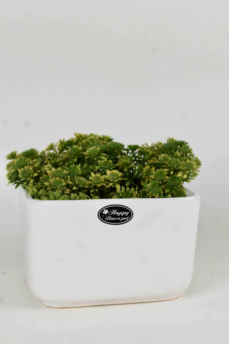 Classic Ceramic Planter — 9" Dia × 8.5" Height — Primary View