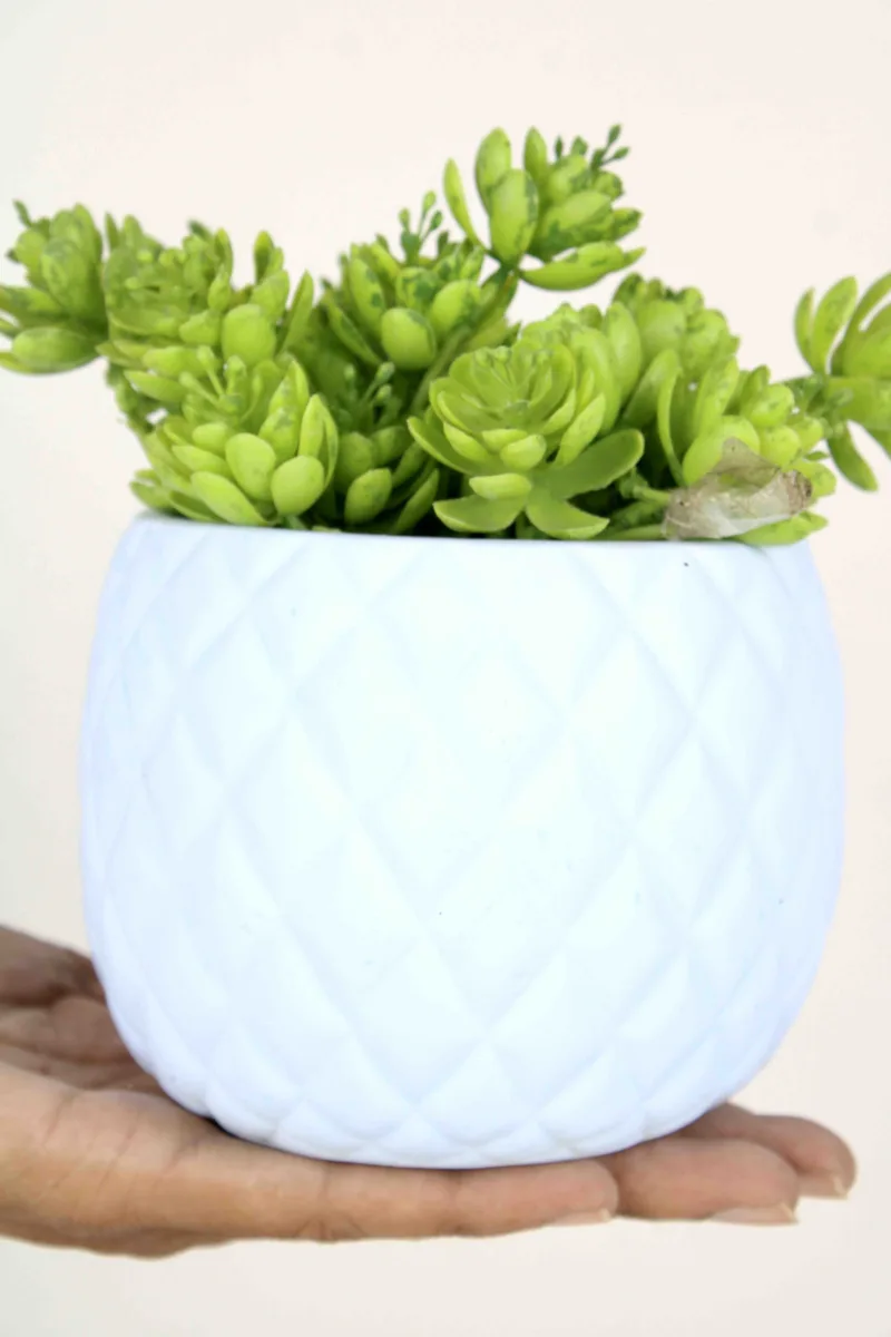 Classic Ceramic Planter — 3.5" Dia × 3" Height — Primary View