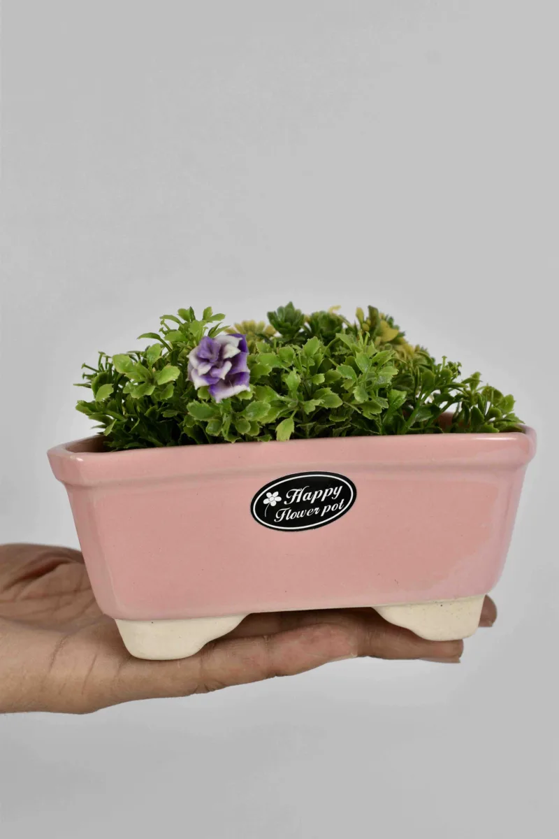 Classic Ceramic Planter — 5" Dia × 4.5" Height — Primary View