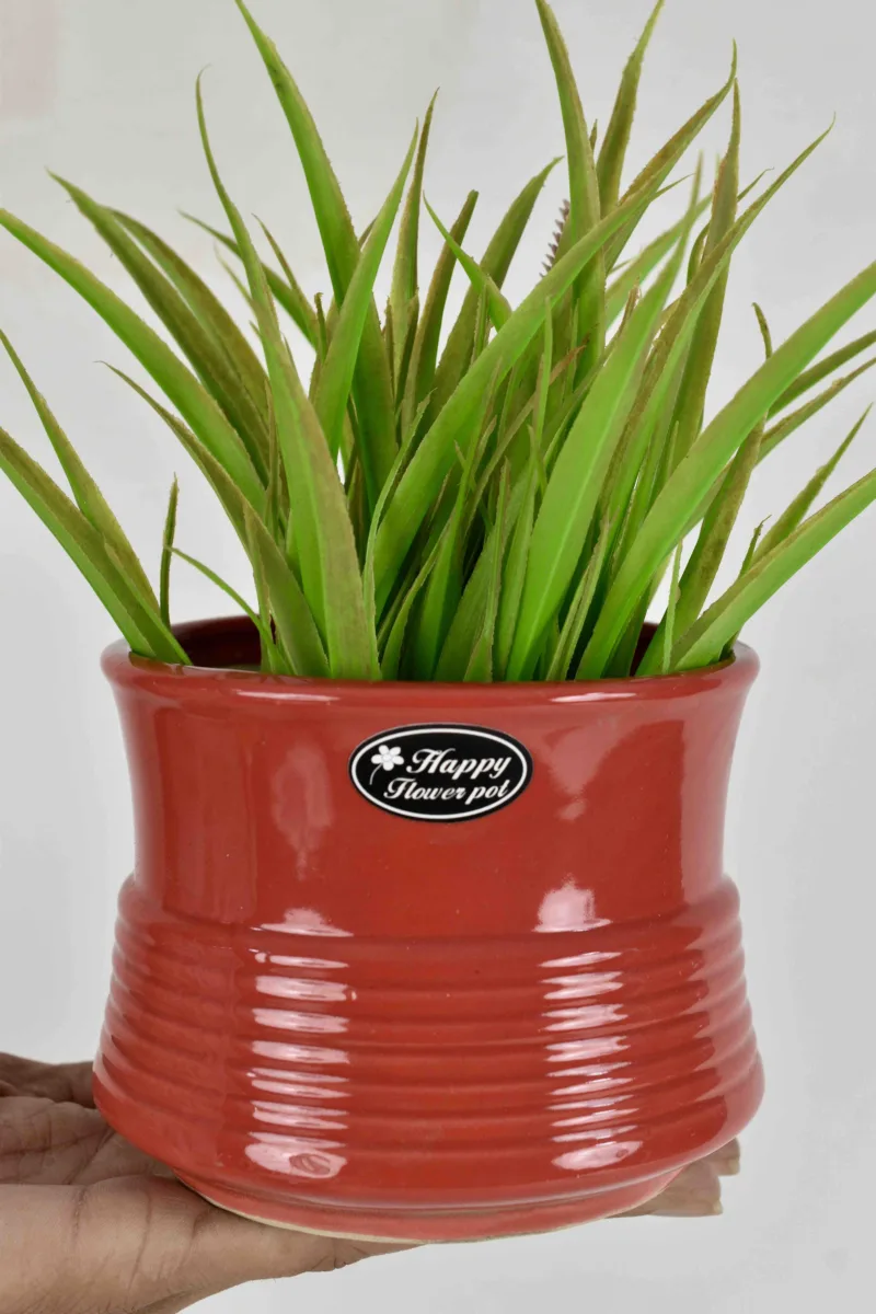 Classic Ceramic Planter — 5" Dia × 6" Height — Primary View