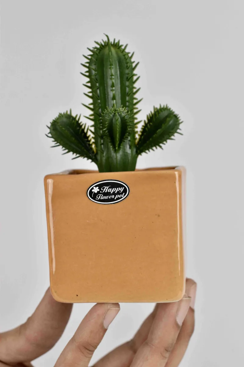 Classic Ceramic Planter — 4" Dia × 3.5" Height — Primary View