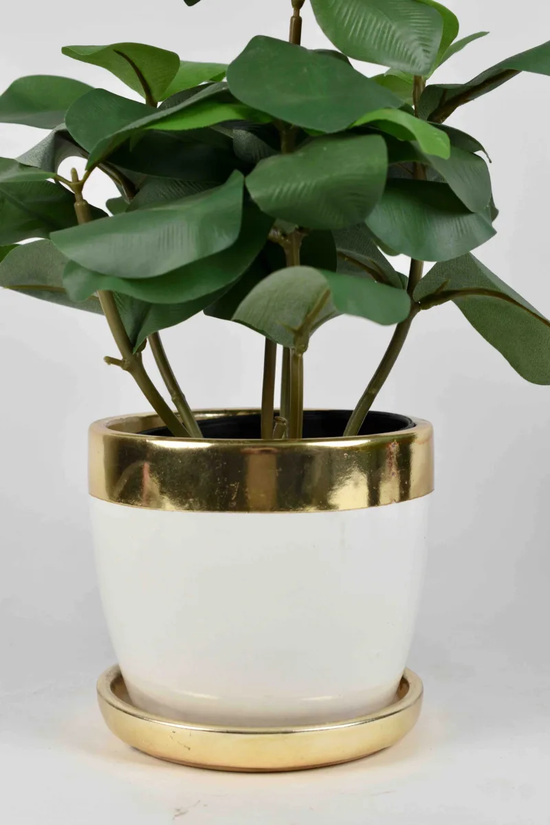 Classic Ceramic Planter — 7" Dia × 7.5" Height — Primary View