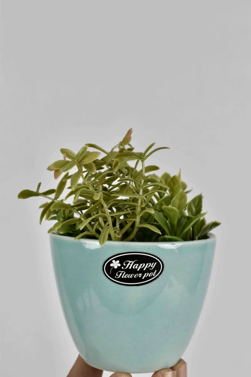 Classic Ceramic Planter — 3.5" Dia × 3.5" Height — Primary View