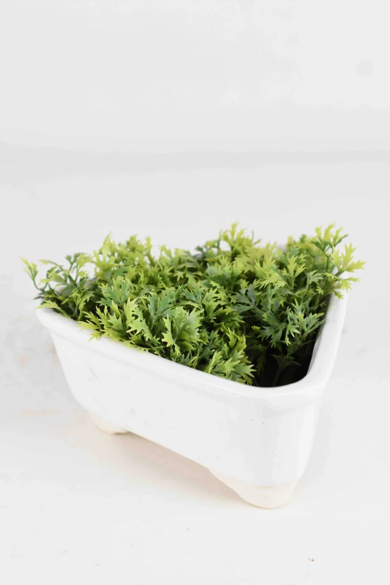 Classic Ceramic Planter — 5" Dia × 5" Height — Primary View