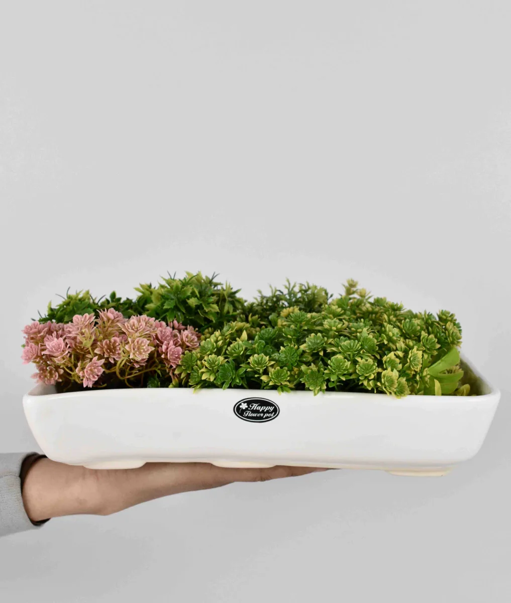 Classic Ceramic Planter — 5" Dia × 5.5" Height — Primary View