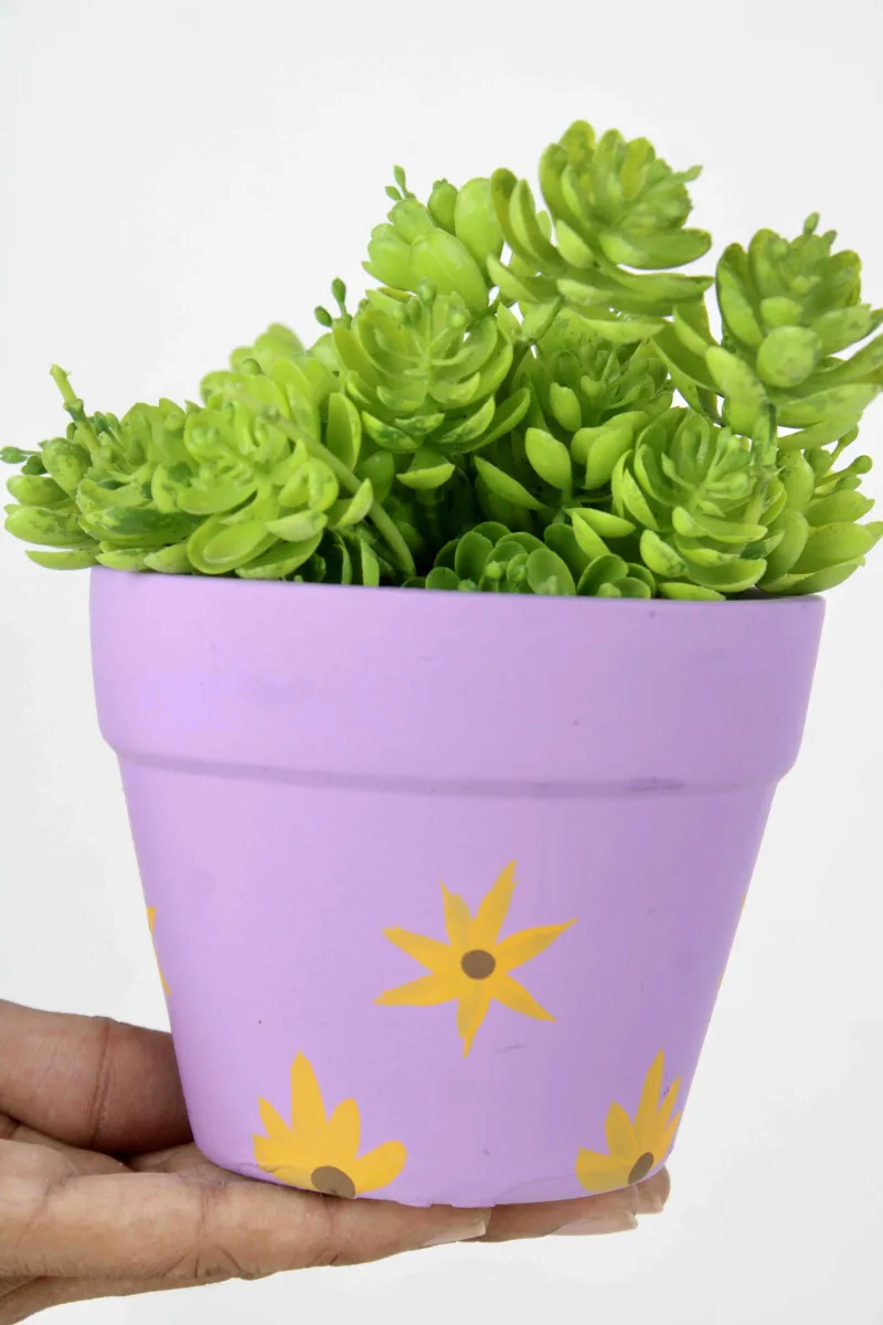 Classic Ceramic Planter — 5" Dia × 4.5" Height — Primary View