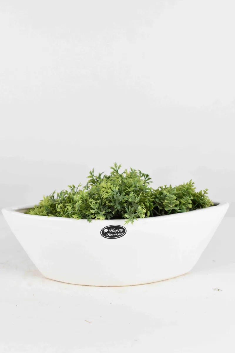 Classic Ceramic Planter — 9" Dia × 9.5" Height — Primary View