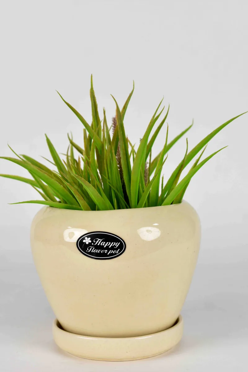 Classic Ceramic Planter — 4" Dia × 3.5" Height — Primary View