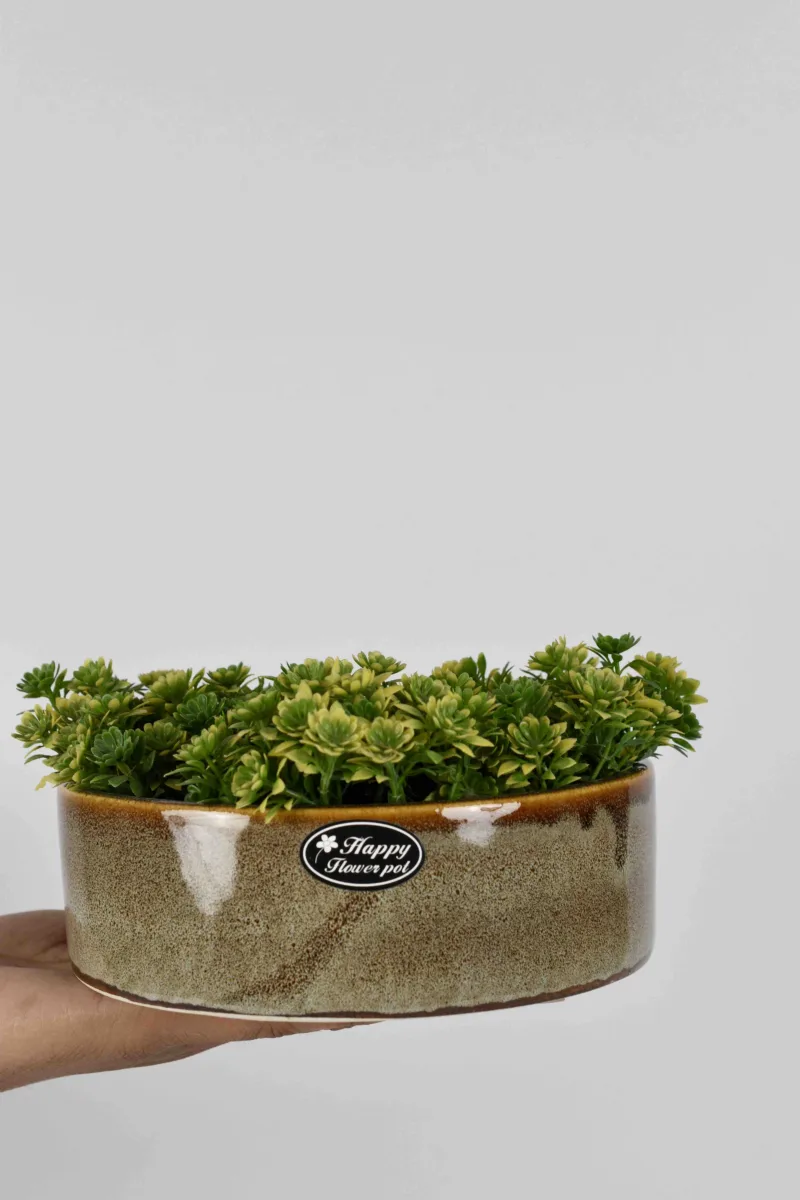 Classic Ceramic Planter — 4.5" Dia × 5" Height — Primary View