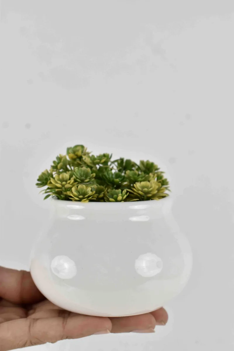 Classic Ceramic Planter — 6.5" Dia × 5" Height — Primary View