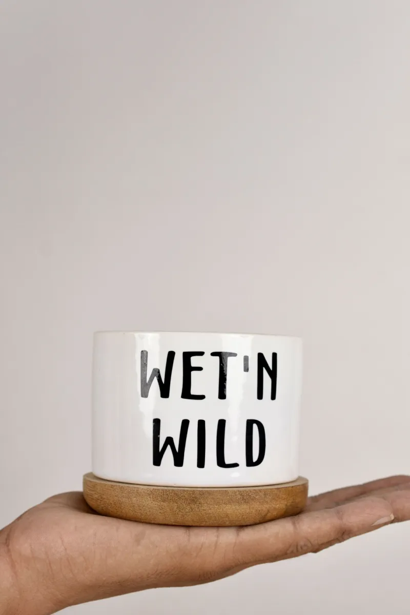 Classic Ceramic Planter — 8" Dia × 4.5" Height — Primary View