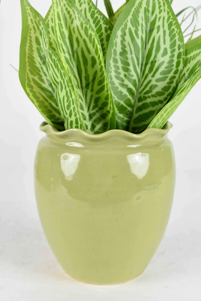 Classic Ceramic Planter — 4" Dia × 3.5" Height — Primary View