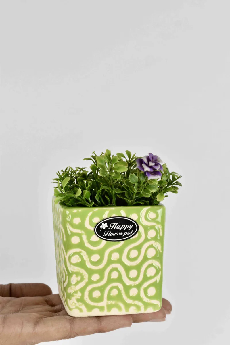 Classic Ceramic Planter — 4.5" Dia × 4.5" Height — Primary View