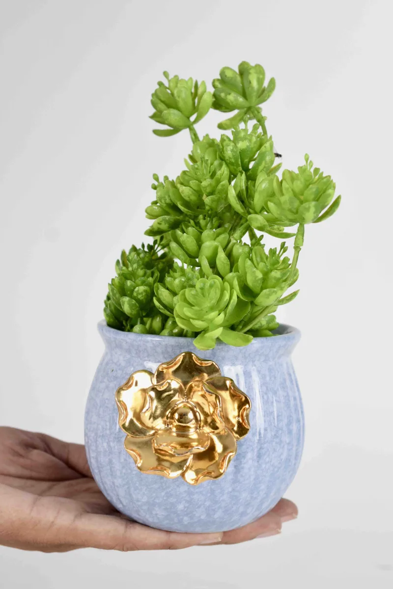 Classic Ceramic Planter — 5.5" Dia × 3" Height — Primary View