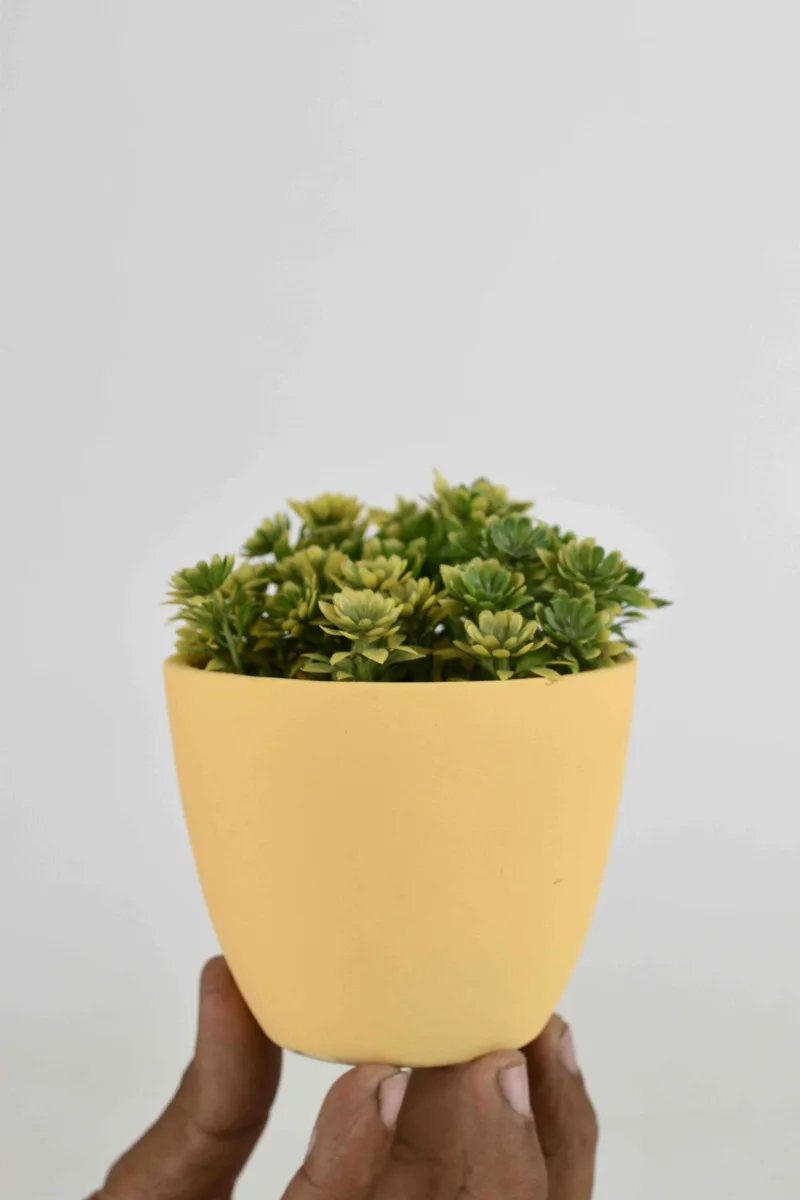 Classic Ceramic Planter — 5" Dia × 4" Height — Primary View