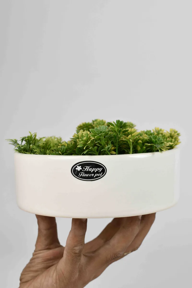 Classic Ceramic Planter — 11" Dia × 11" Height — Primary View