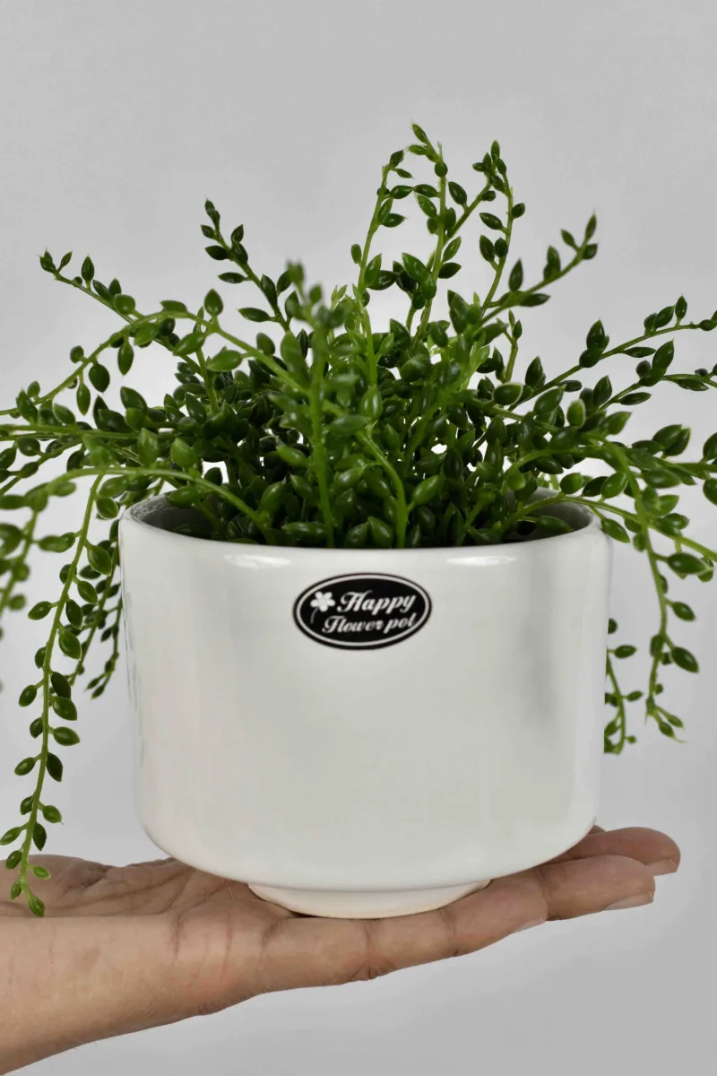 Classic Ceramic Planter — Primary View