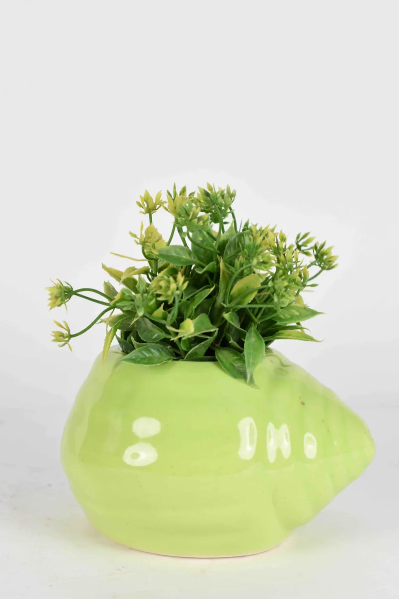 Classic Ceramic Planter — 5.5" Dia × 5" Height — Primary View