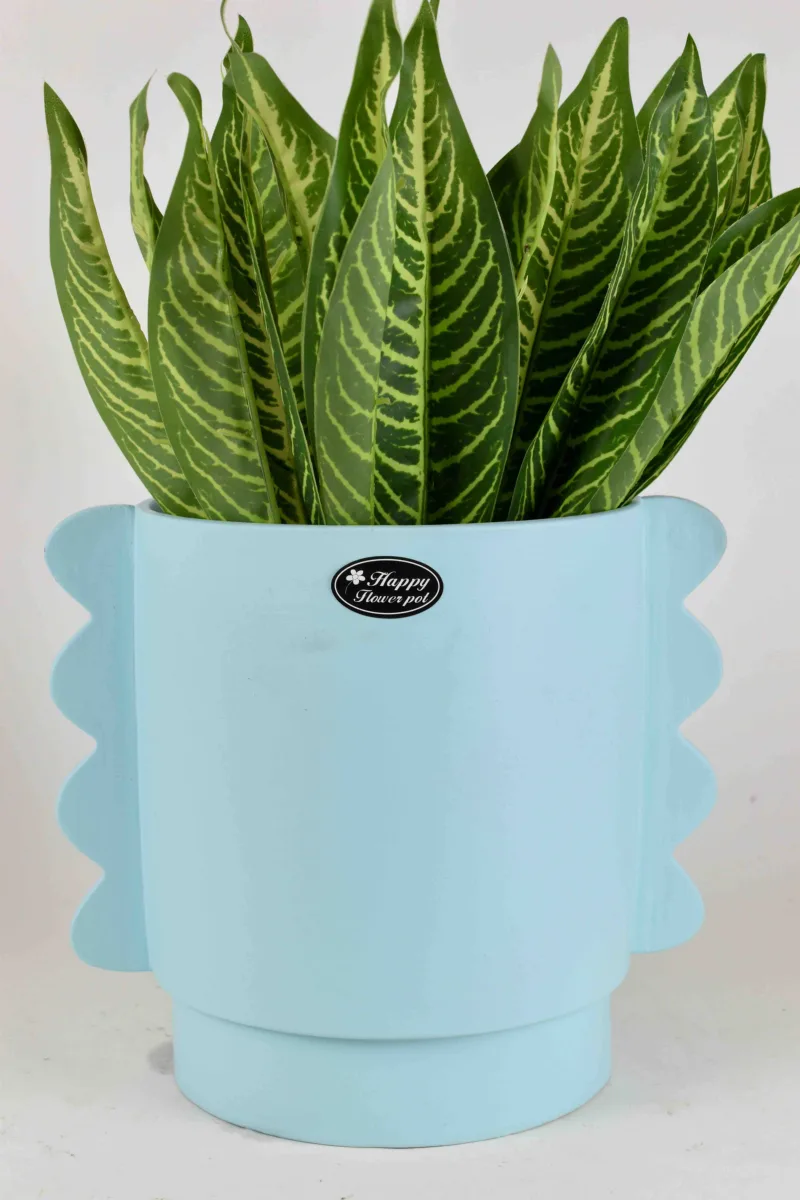 Classic Ceramic Planter — 5" Dia × 4" Height — Primary View